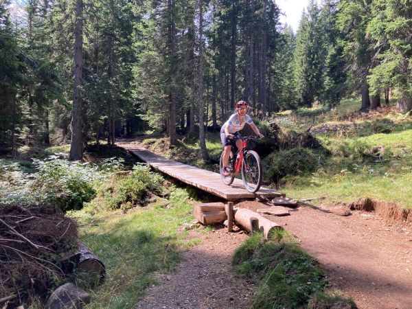 Heike Brandl fährt mit MTB über einen Steg im Wald