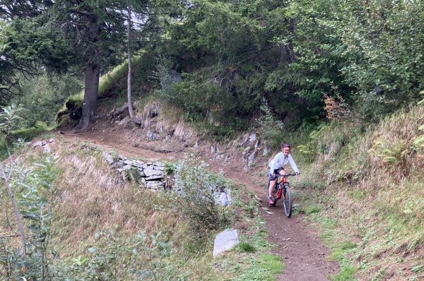 Heike Brandl mit MTB auf einem Trail durch den Wald